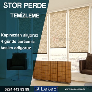 Resim